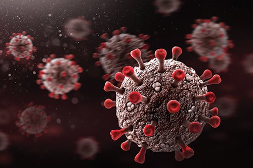 Photo of a microscopic view of the COVID-19 virus