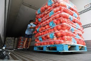 Photo of a student volunteer from The FarmLink Project pushing a crate filled with produce