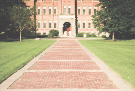 Photo of a brick pathway leading to a building on a college campus.