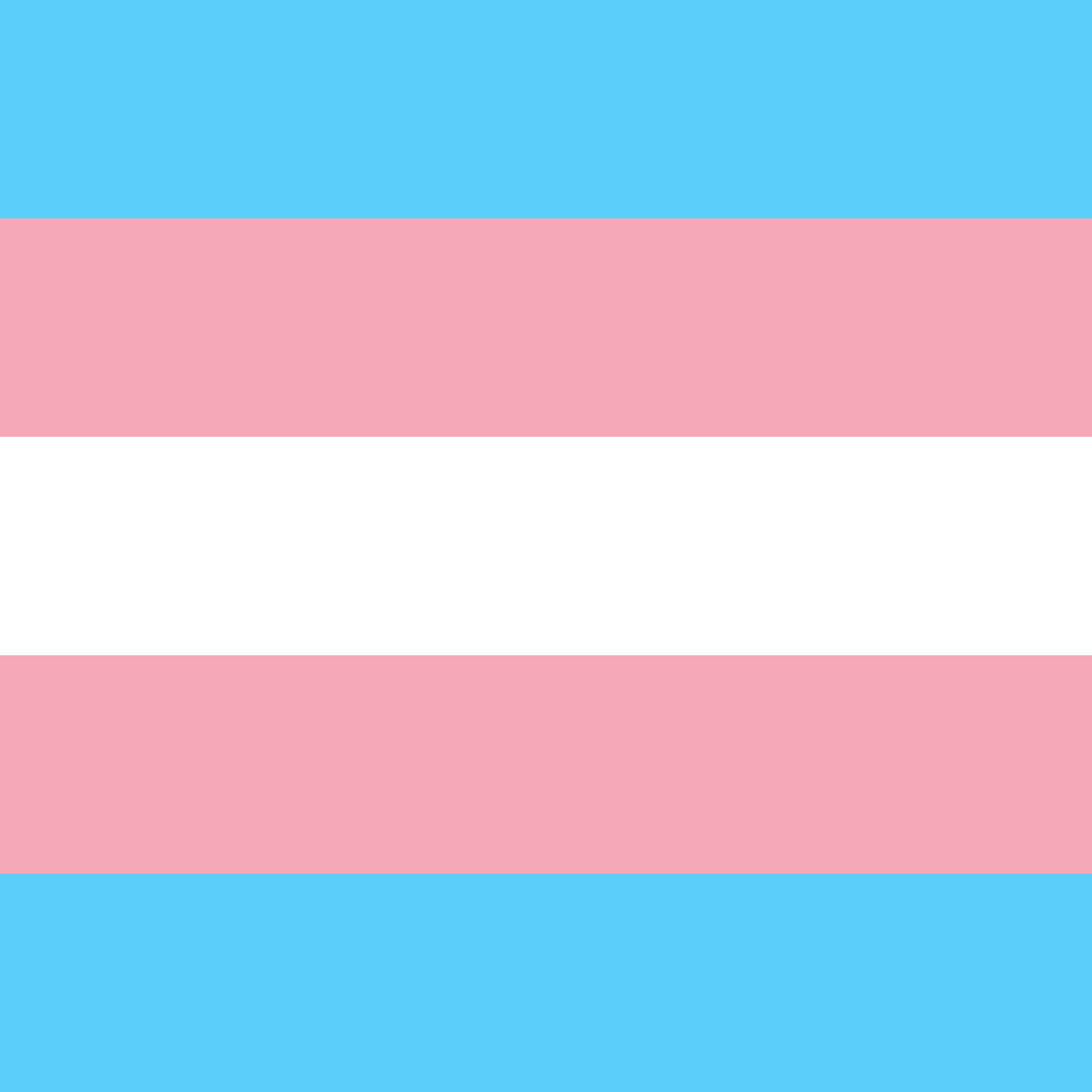 Graphic depicting the transgender flag
