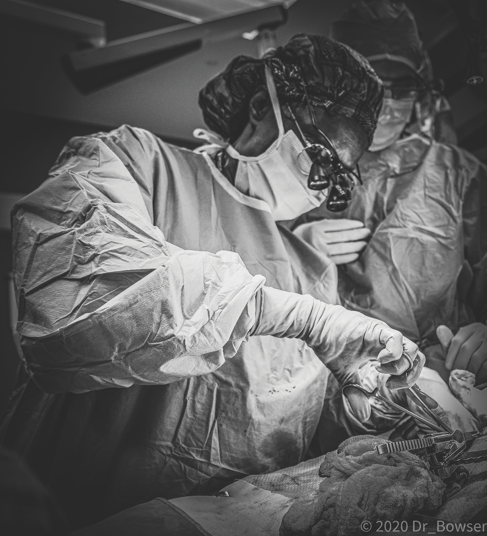 Photo of Velma Scantlebury-White, MD