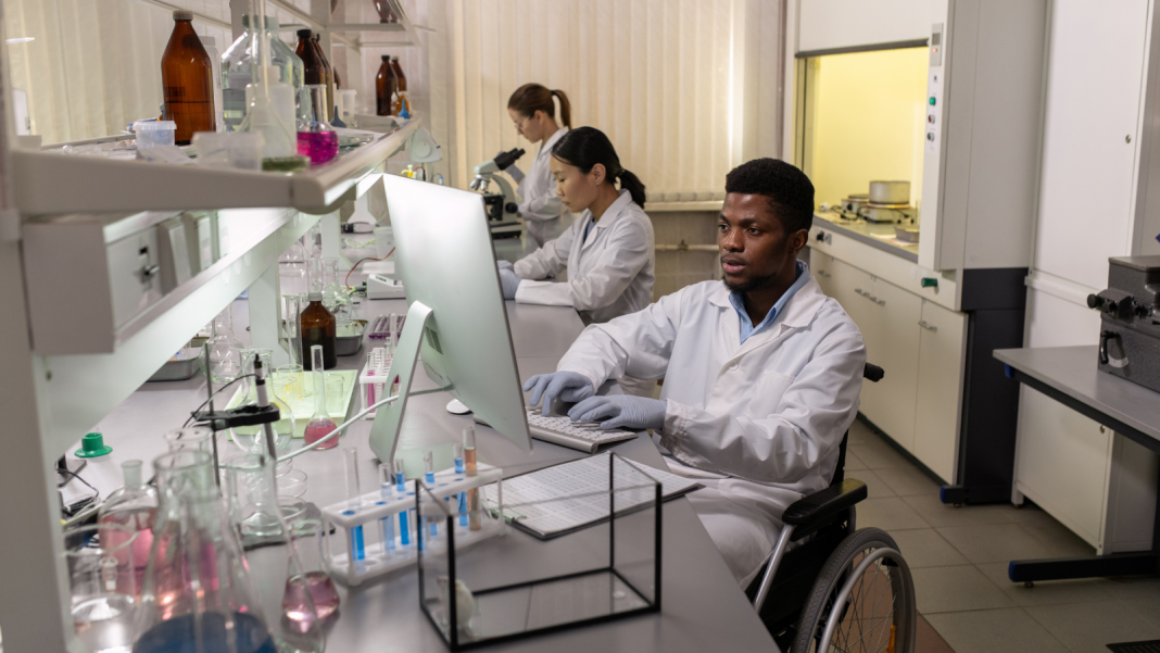 Northern Arizona University Selected as Regional Hub for STEM Alliance ...