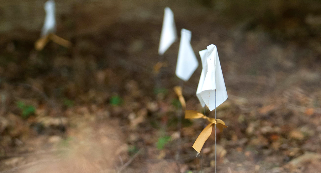 The African American Burial Ground at Woodland Cemetery, which contains the unmarked graves of more than 500 African Americans, will comprise a large portion of Clemson University’s portion of the trail.