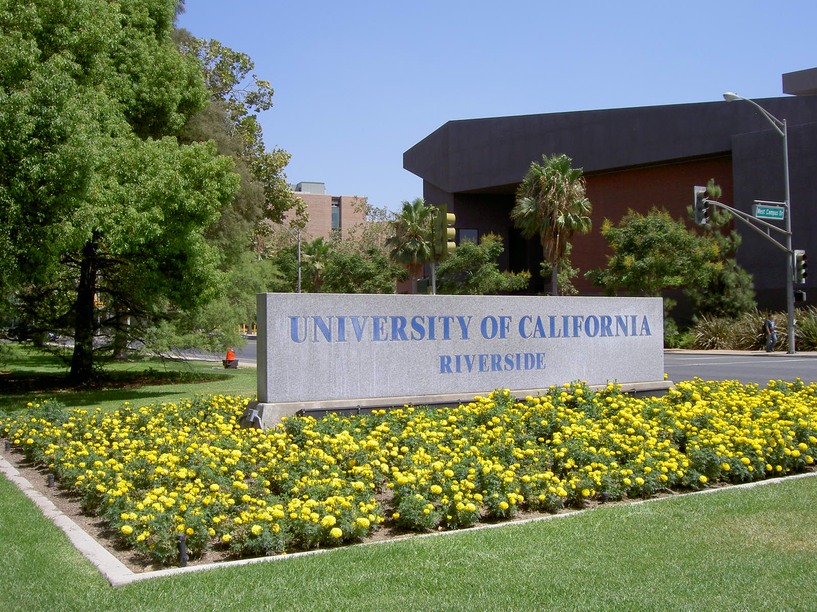 A professor at the University of California, Riverside is stepping down following complaints over her false claims of Native American heritage.