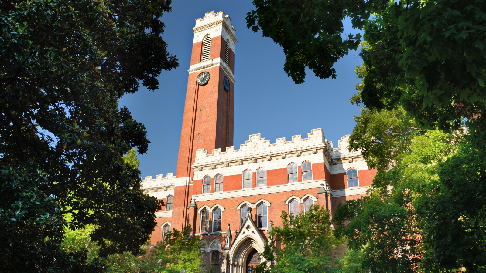 Vanderbilt University announced the launch of a new interdisciplinary center this week that seeks to unravel the roots and repercussions of health-related inequalities.