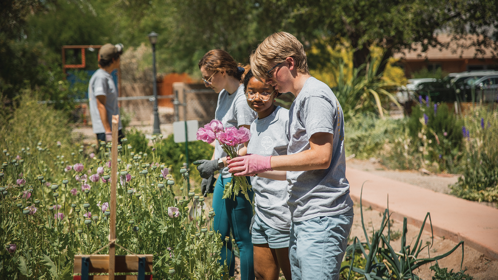 The Garden for Growth club is led by the Neuroscience and Cognitive Science Association of Students at the University of Arizona (UArizona) and supported in part by a mini-grant from the university’s Campus Sustainability Fund (CSF). (Photo courtesy UArizona CSF)
