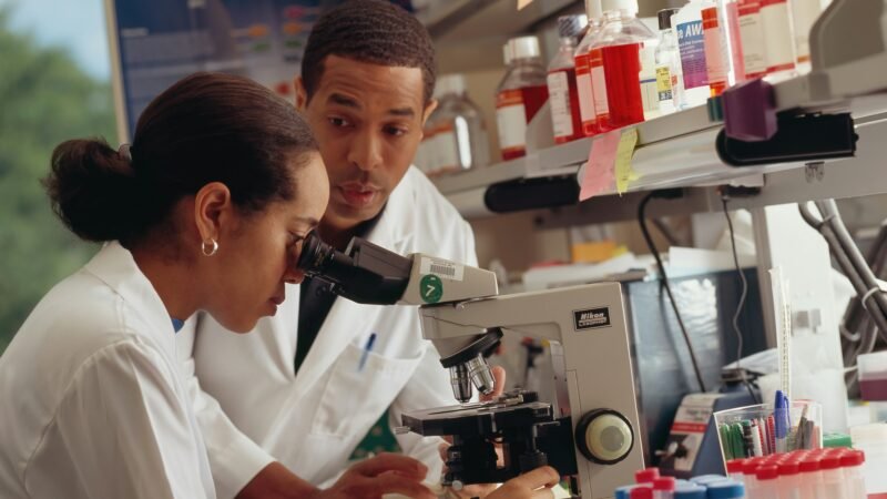 stem research
