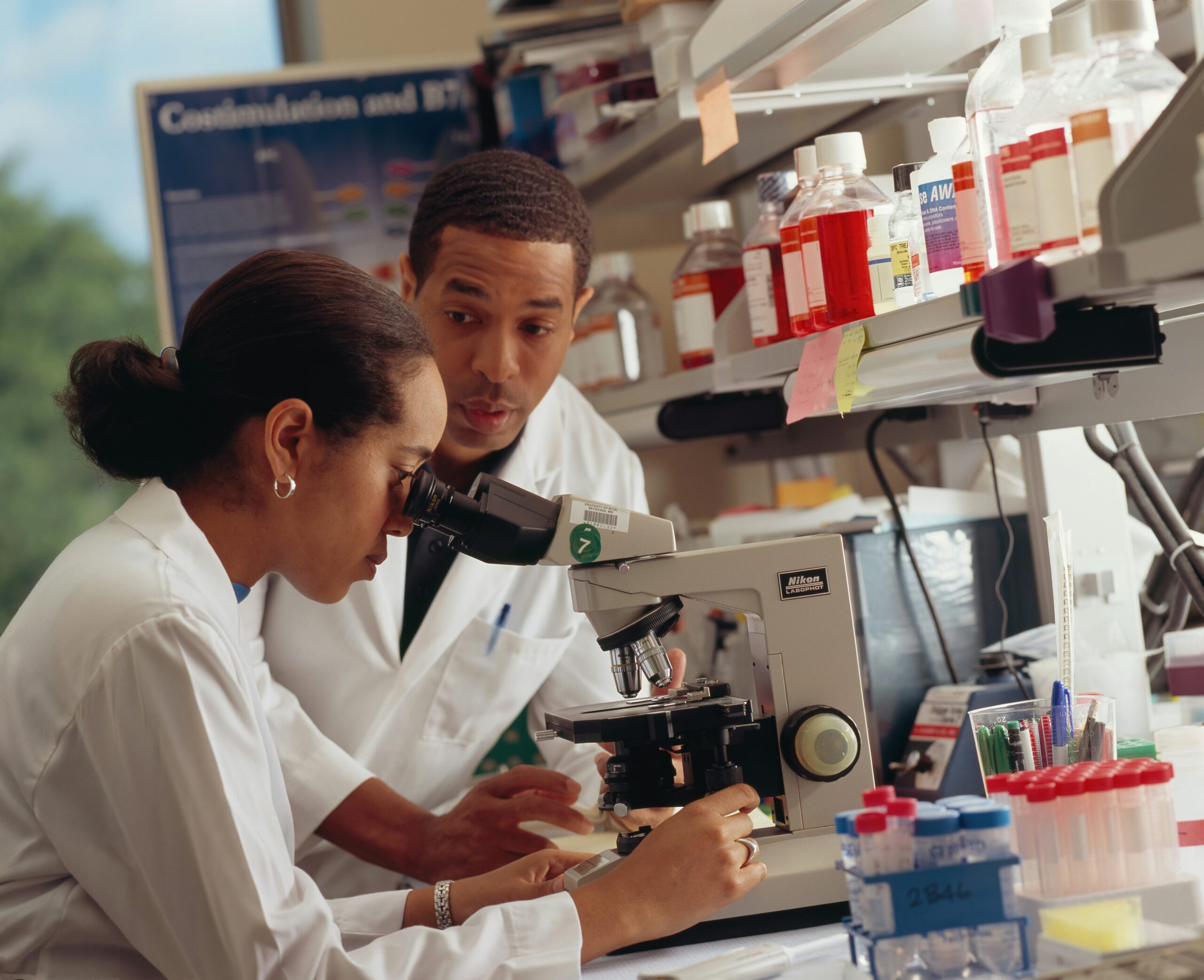 stem research